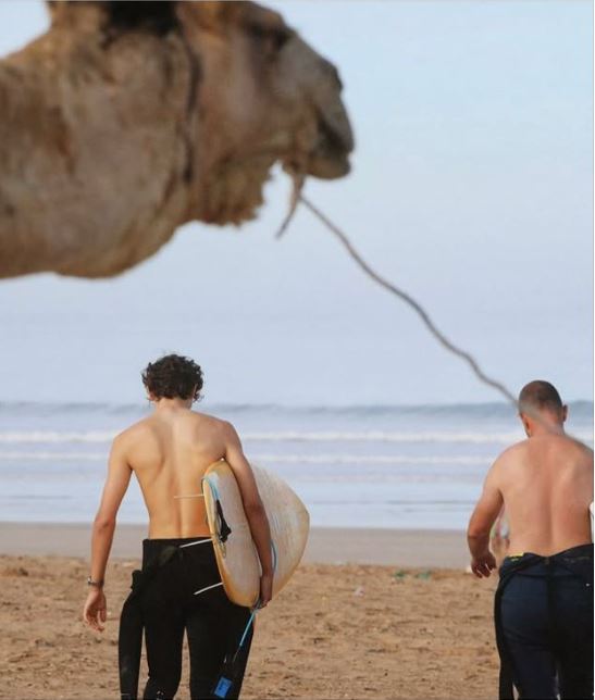 Surf Camp Package in Essaouira ,Morocco with AfusKite